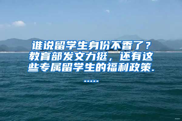 谁说留学生身份不香了？教育部发文力挺，还有这些专属留学生的福利政策......