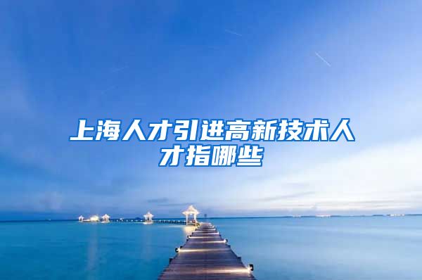 上海人才引进高新技术人才指哪些