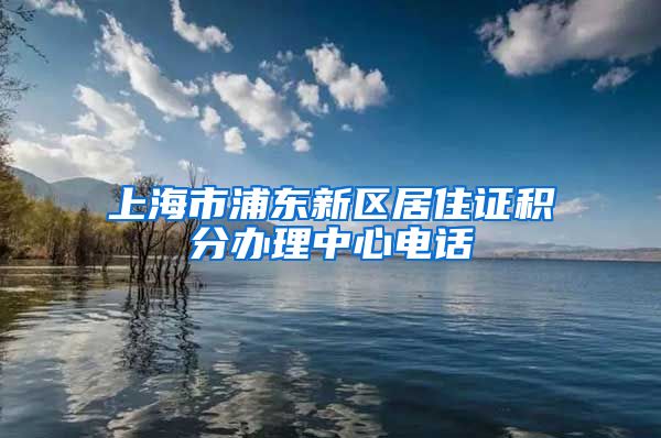 上海市浦东新区居住证积分办理中心电话