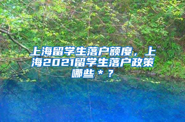 上海留学生落户额度，上海2021留学生落户政策哪些＊？