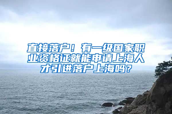 直接落户！有一级国家职业资格证就能申请上海人才引进落户上海吗？