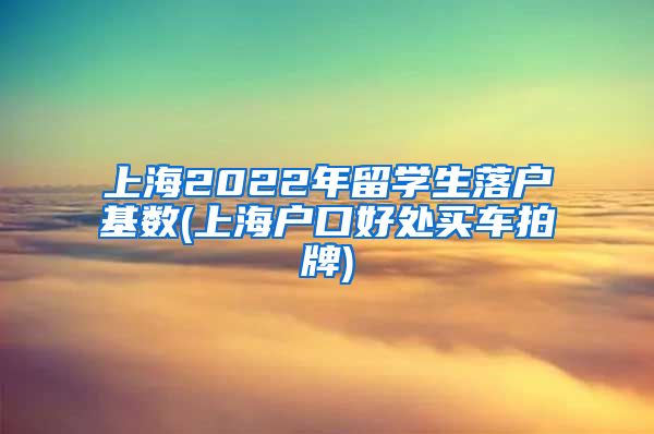 上海2022年留学生落户基数(上海户口好处买车拍牌)