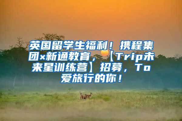 英国留学生福利！携程集团×新通教育，【Trip未来星训练营】招募，To爱旅行的你！