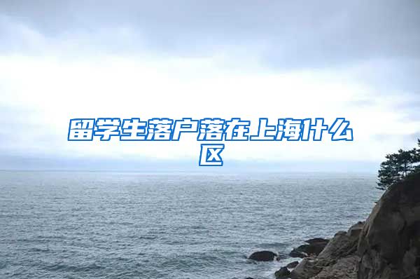 留学生落户落在上海什么区