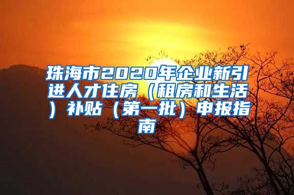 珠海市2020年企业新引进人才住房（租房和生活）补贴（第一批）申报指南