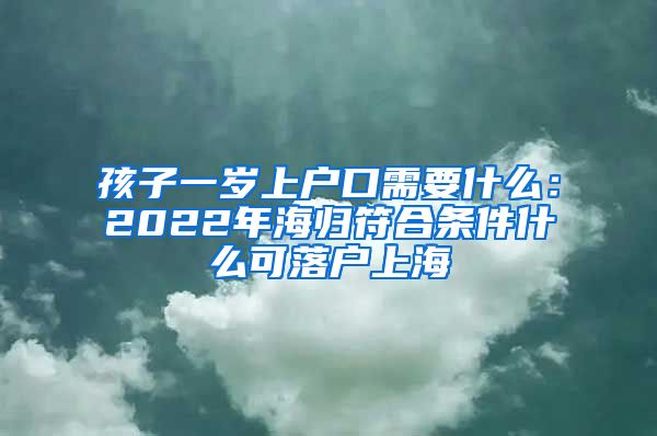 孩子一岁上户口需要什么：2022年海归符合条件什么可落户上海