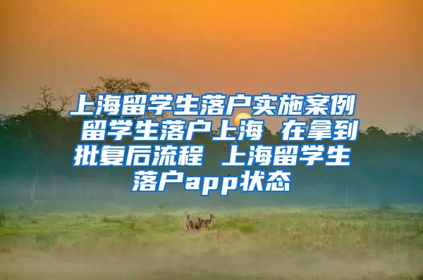 上海留学生落户实施案例 留学生落户上海 在拿到批复后流程 上海留学生落户app状态