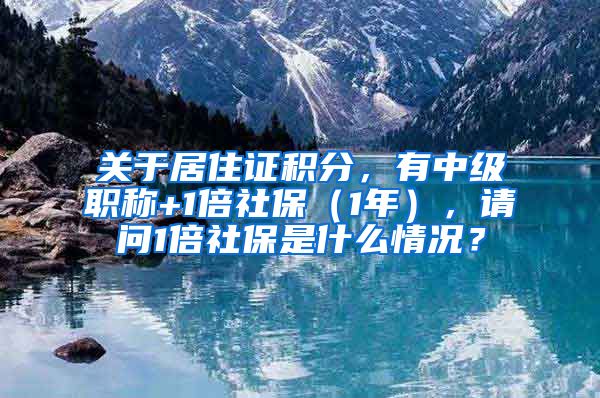 关于居住证积分，有中级职称+1倍社保（1年），请问1倍社保是什么情况？