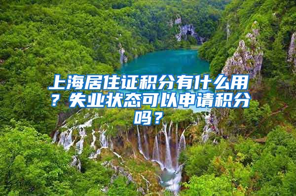 上海居住证积分有什么用？失业状态可以申请积分吗？