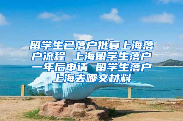 留学生已落户批复上海落户流程 上海留学生落户一年后申请 留学生落户上海去哪交材料