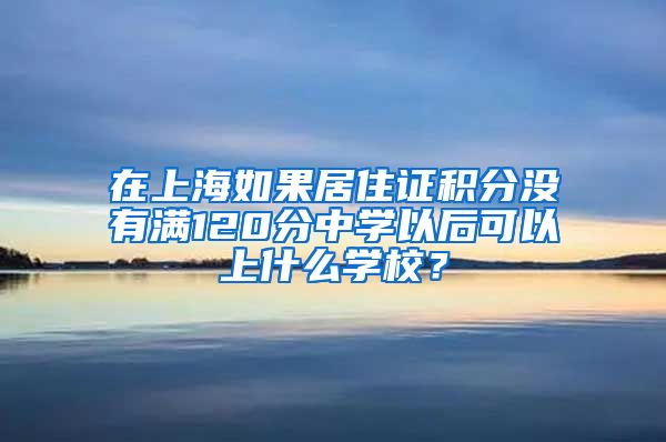 在上海如果居住证积分没有满120分中学以后可以上什么学校？