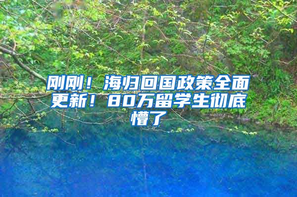 刚刚！海归回国政策全面更新！80万留学生彻底懵了