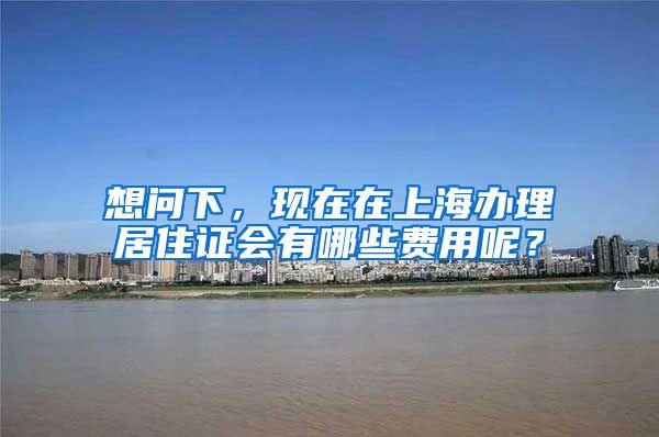 想问下，现在在上海办理居住证会有哪些费用呢？