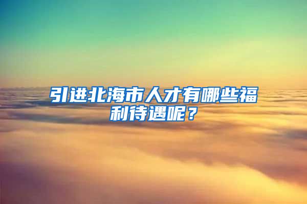 引进北海市人才有哪些福利待遇呢？