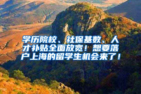 学历院校、社保基数、人才补贴全面放宽！想要落户上海的留学生机会来了！