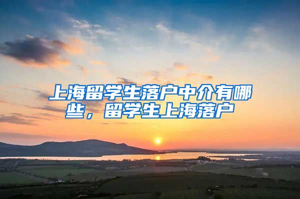 上海留学生落户中介有哪些，留学生上海落户