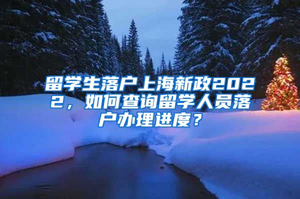 留学生落户上海新政2022，如何查询留学人员落户办理进度？