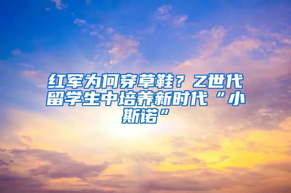 红军为何穿草鞋？Z世代留学生中培养新时代“小斯诺”