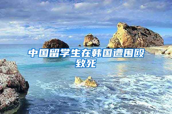 中国留学生在韩国遭围殴致死