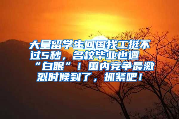 大量留学生回国找工挺不过5秒，名校毕业也遭“白眼”！国内竞争最激烈时候到了，抓紧吧！