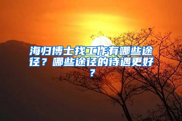 海归博士找工作有哪些途径？哪些途径的待遇更好？