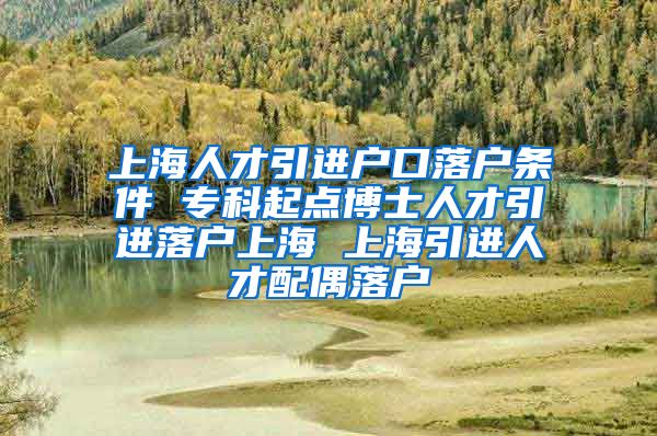 上海人才引进户口落户条件 专科起点博士人才引进落户上海 上海引进人才配偶落户