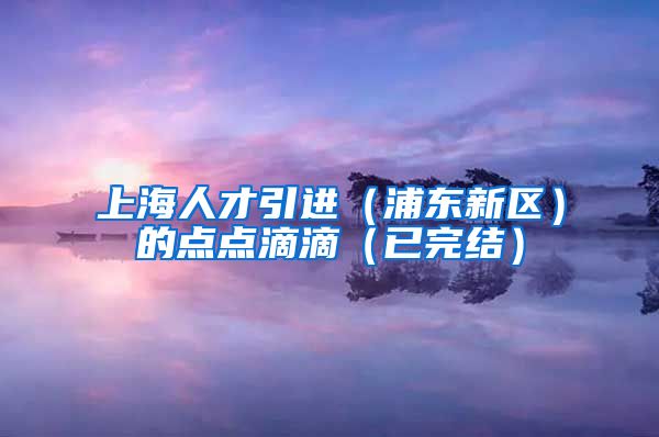 上海人才引进（浦东新区）的点点滴滴（已完结）