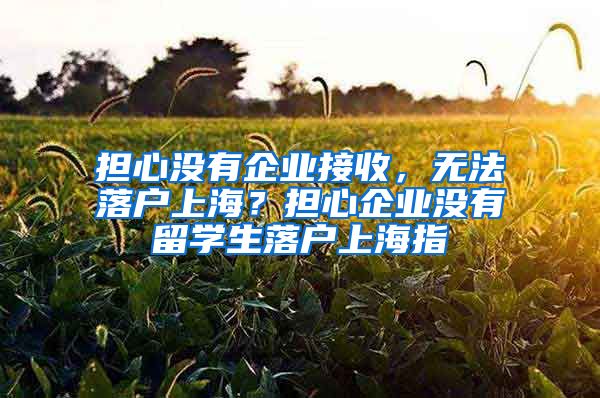 担心没有企业接收，无法落户上海？担心企业没有留学生落户上海指