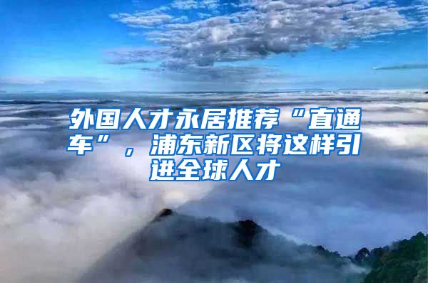 外国人才永居推荐“直通车”，浦东新区将这样引进全球人才