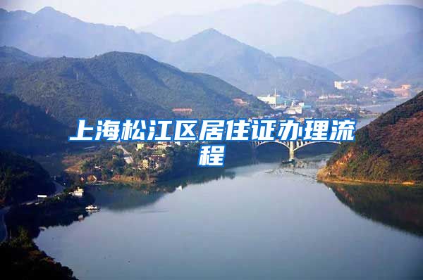 上海松江区居住证办理流程