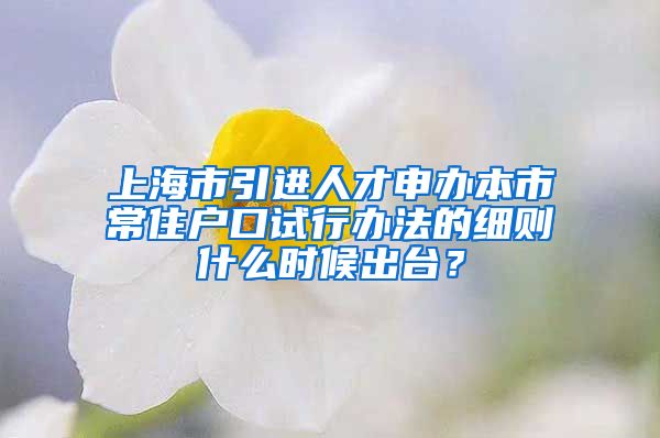 上海市引进人才申办本市常住户口试行办法的细则什么时候出台？