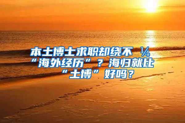 本土博士求职却绕不开“海外经历”？海归就比“土博”好吗？