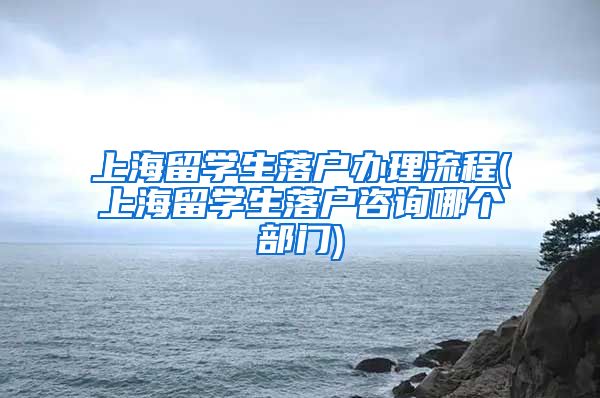 上海留学生落户办理流程(上海留学生落户咨询哪个部门)