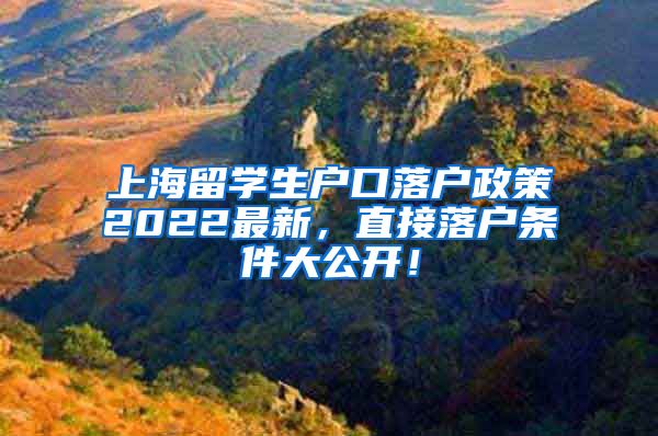 上海留学生户口落户政策2022最新，直接落户条件大公开！