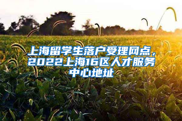 上海留学生落户受理网点，2022上海16区人才服务中心地址