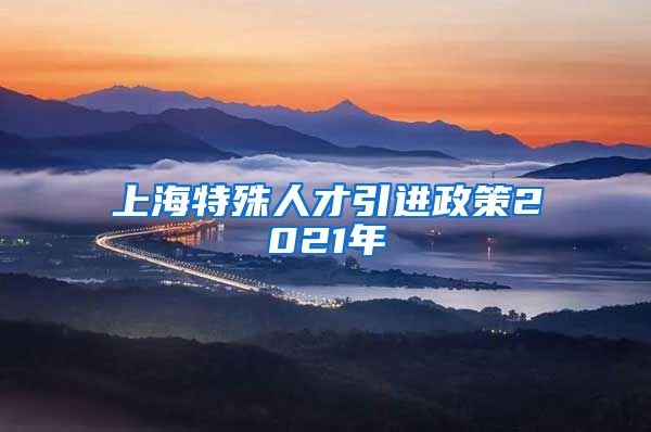 上海特殊人才引进政策2021年