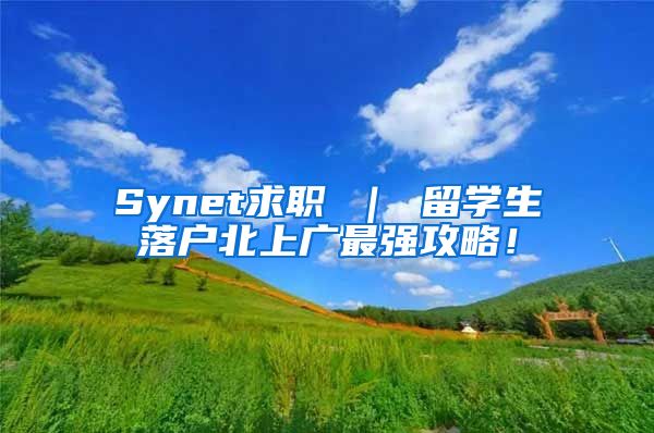 Synet求职 ｜ 留学生落户北上广最强攻略！