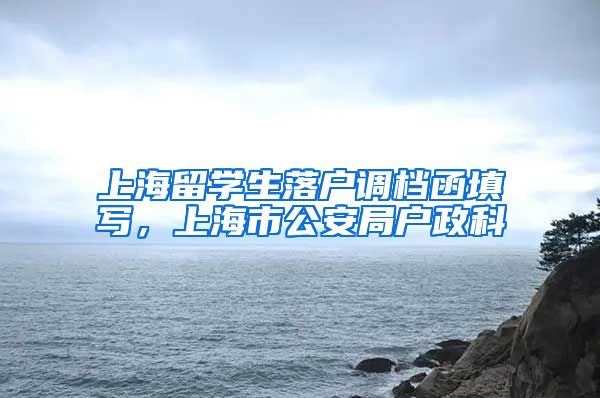 上海留学生落户调档函填写，上海市公安局户政科