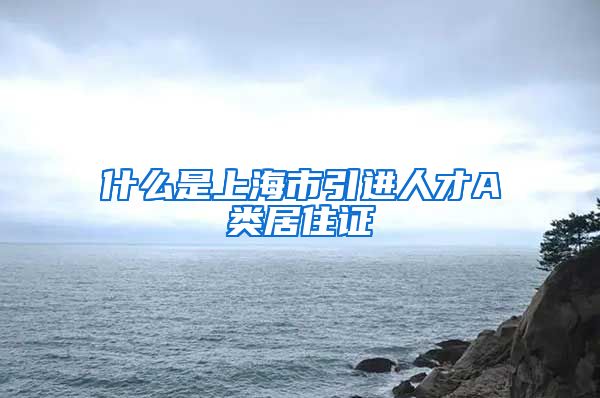 什么是上海市引进人才A类居住证