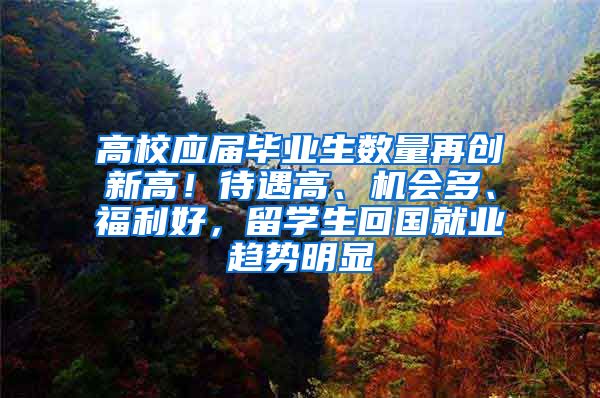 高校应届毕业生数量再创新高！待遇高、机会多、福利好，留学生回国就业趋势明显