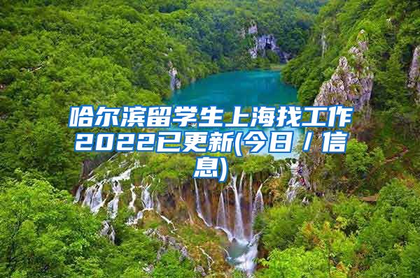 哈尔滨留学生上海找工作2022已更新(今日／信息)