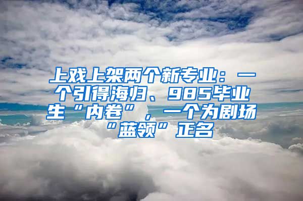 上戏上架两个新专业：一个引得海归、985毕业生“内卷”，一个为剧场“蓝领”正名