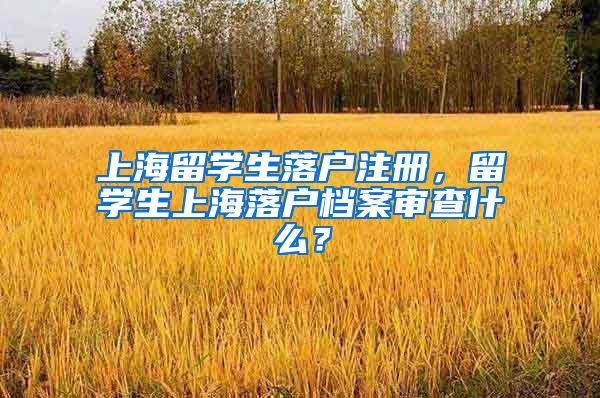 上海留学生落户注册，留学生上海落户档案审查什么？