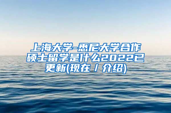 上海大学-悉尼大学合作硕士留学是什么2022已更新(现在／介绍)