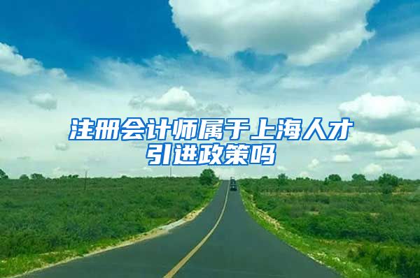 注册会计师属于上海人才引进政策吗