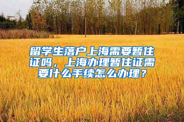 留学生落户上海需要暂住证吗，上海办理暂住证需要什么手续怎么办理？