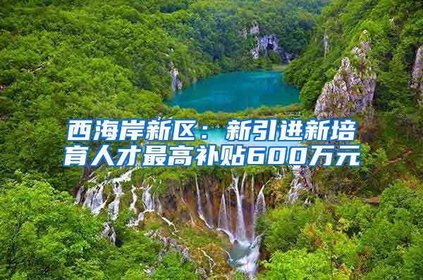 西海岸新区：新引进新培育人才最高补贴600万元