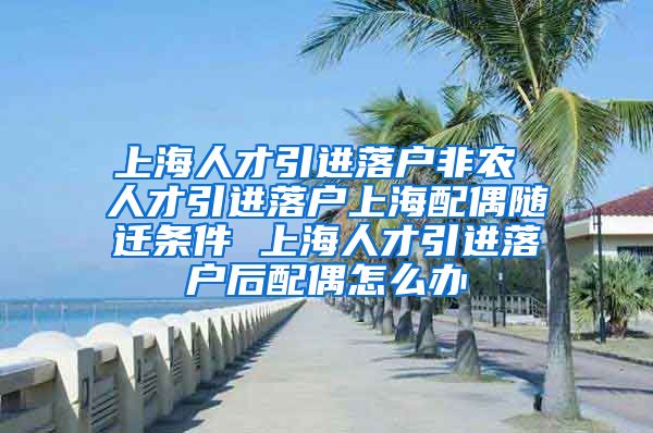 上海人才引进落户非农 人才引进落户上海配偶随迁条件 上海人才引进落户后配偶怎么办