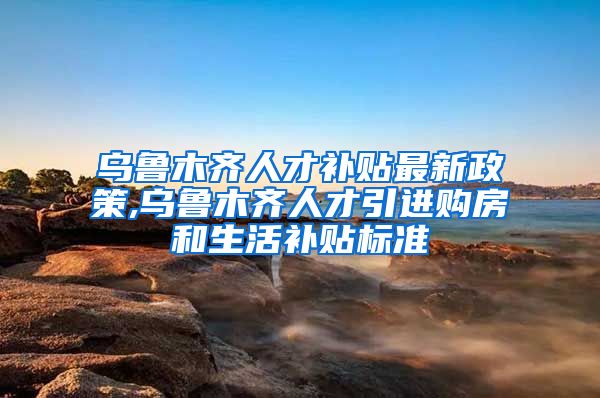 乌鲁木齐人才补贴最新政策,乌鲁木齐人才引进购房和生活补贴标准