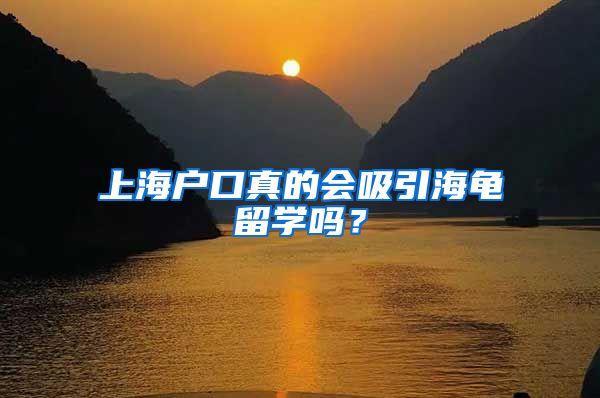 上海户口真的会吸引海龟留学吗？